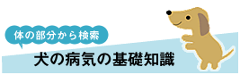 犬の病気の基礎知識
