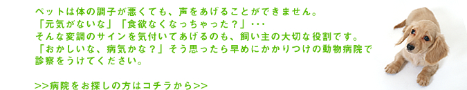 病院をお探しの方はこちら