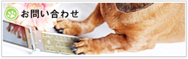 犬の健康大辞典のお問い合わせはこちら