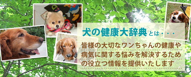 犬の健康大辞典